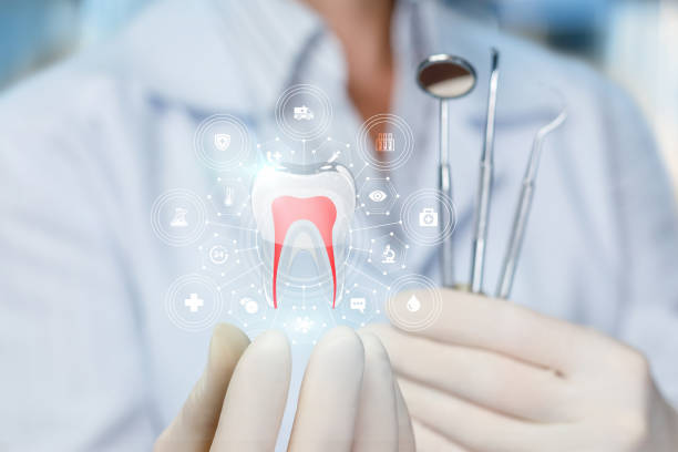 Best Pediatric Dentistry  in Wrightsboro, NC